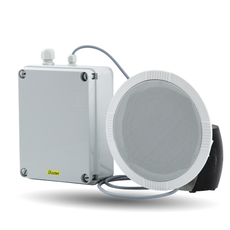 Haut-parleur IP Plafonnier encastrable